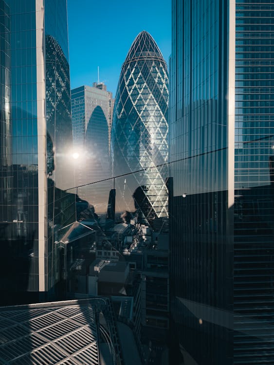 Financial growth visualization